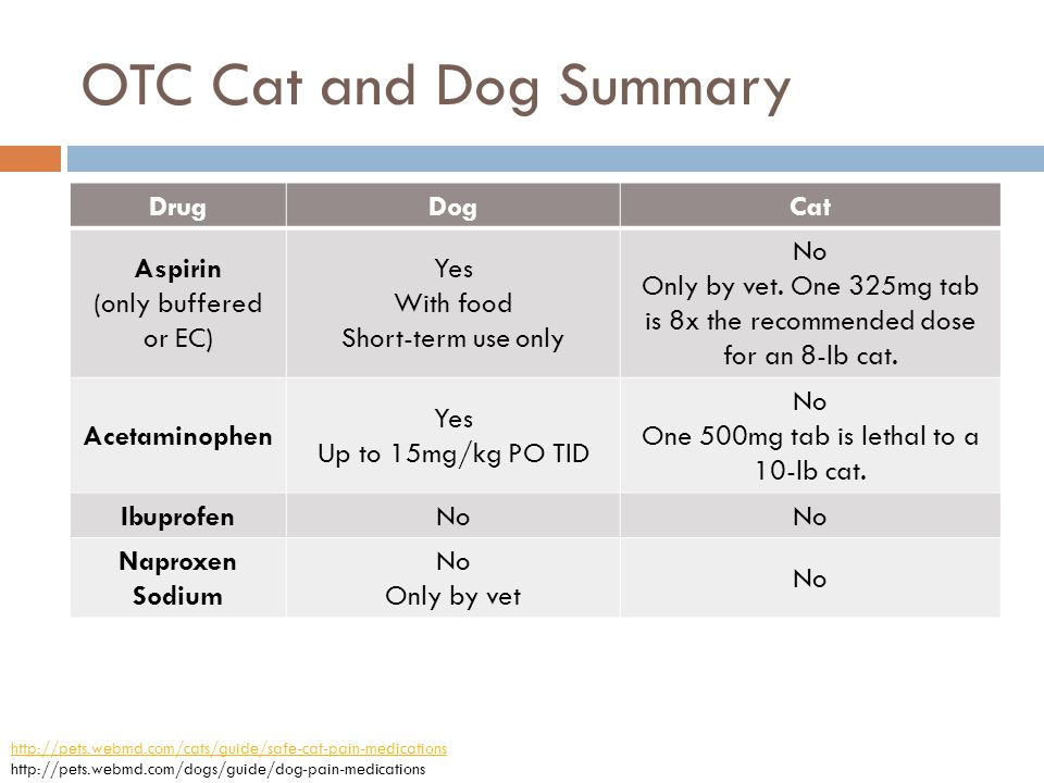 Acetaminophen dogs 2024 toxic dose